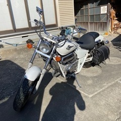 マグナ250！