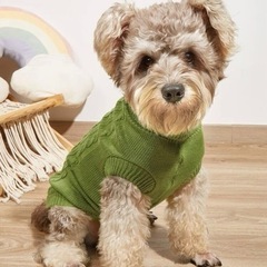 わんちゃん‪‪❤︎‬洋服‪‪❤︎U・ᴥ・Uฅ