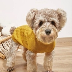 わんちゃん❤︎.*お洋服U•ﻌ•U