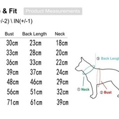 わんちゃん❤︎.*お洋服U•ﻌ•Uの画像