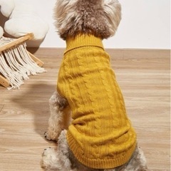 わんちゃん❤︎.*お洋服U•ﻌ•Uの画像