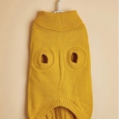 わんちゃん❤︎.*お洋服U•ﻌ•Uの画像