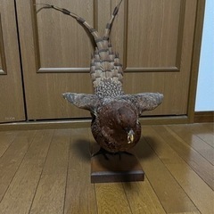 キジ？の剥製です。の画像