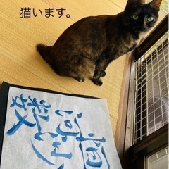 気軽に通える小さな学習道場(兼書道教室)です。高校受験・中学受験・英検対策。の画像