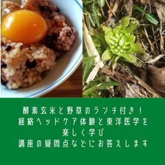 東洋医学で睡眠障害を改善　経絡ヘッドケア講座体験会の画像