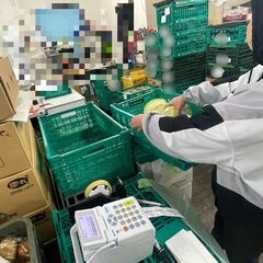 【夜型の方に最適】野菜の仕分け作業　主婦・Wワーク歓迎の画像