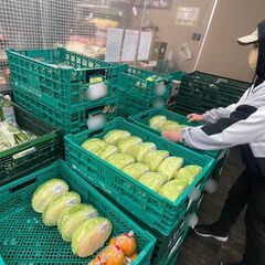 【夜型の方に最適】野菜の仕分け作業　主婦・Wワーク歓迎の画像
