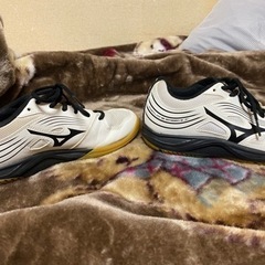 MIZUNO バレーボールシューズ　体育館シューズの画像