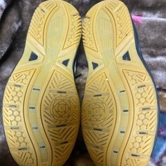 MIZUNO バレーボールシューズ　体育館シューズの画像