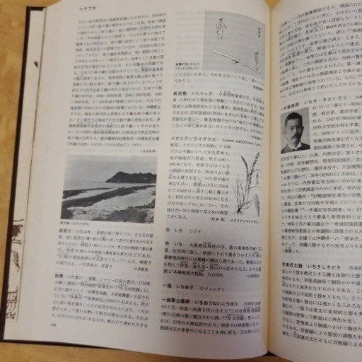 沖縄大百科事典