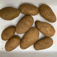 食べ比べジャガイモとはるみみかんの画像