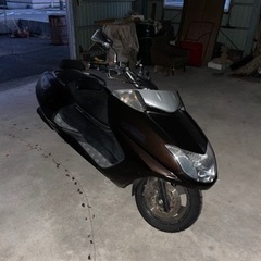 マグザムの画像