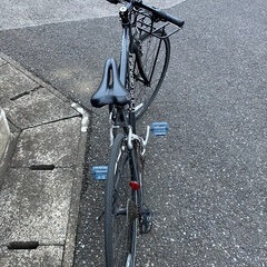LOUIS GARNEAU ルイガノ LGS-RSR4クロスバイクの画像