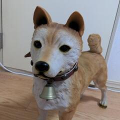 柴犬　置き物　等身大の画像