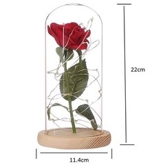 お譲り先決定【超美品】美女と野獣 モチーフ ︎✿ ローズ ガラスドーム の画像