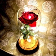 お譲り先決定【超美品】美女と野獣 モチーフ ︎✿ ローズ ガラスドーム の画像