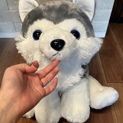 オオカミのぬいぐるみの画像