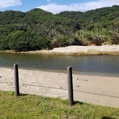 残土　募集