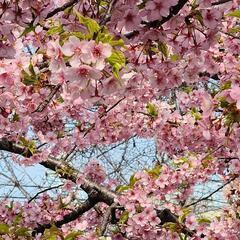 40代以上のグルチャです。