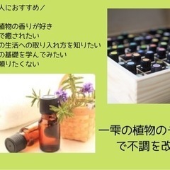 🌱ゆるふわ癒し体験しながらアロマの基礎を学ぶ🌱の画像