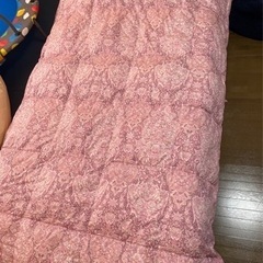 昭和西川  ウォッシャブル羽毛肌掛けふとん 