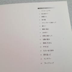  🐬 アートフォーラム 海とイルカの世界 非売品✨(ღ✪ｖ✪)の画像