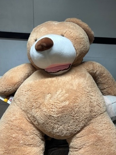 コストコ 風　クマのぬいぐるみ　230cmほど