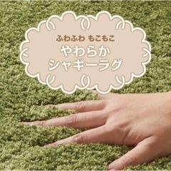 ニトリ　アクセントラグ(SシャギーGR 160X230)の画像