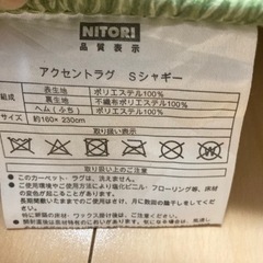 ニトリ　アクセントラグ(SシャギーGR 160X230)の画像