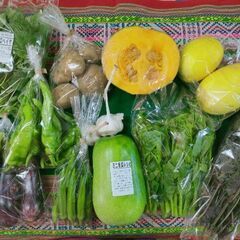新鮮野菜直売所（野菜の自動販売機）
