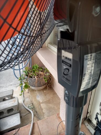 大型扇風機業務用です別館に置いてます