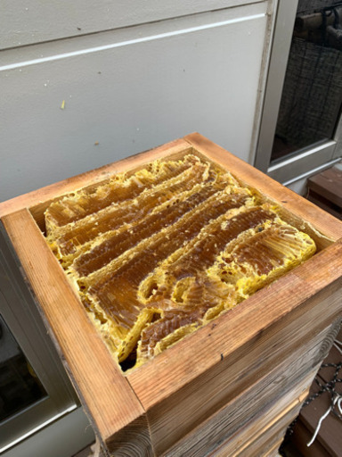 【受付完了】★ジモティ特別価格★分蜂間近！　ニホンミツバチの自然入居用巣箱セット　