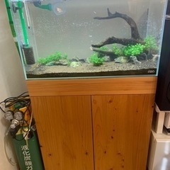 アクアリウムセット