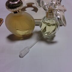 🌟未使用保管品、2点、🌟Nina Ricci、箱はサービスです、★単三電池比較用、★プロフィール必読ですの画像