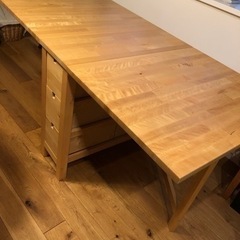 IKEA ﾉｰﾙﾃﾞﾝｹﾞｰﾄﾚｯｸﾞﾃｰﾌﾞﾙ、ﾉｰﾙﾄﾞﾐｰ...