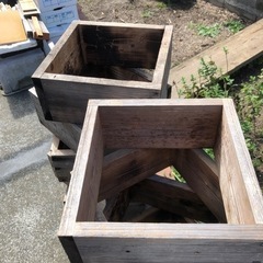 日本ミツバチ　継ぎ箱の画像