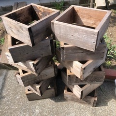 日本ミツバチ　継ぎ箱