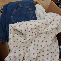 160cm女の子服の画像
