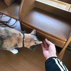 学習机　差し上げますの画像