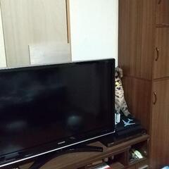 テレビ台 処分予定です