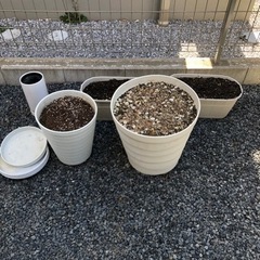 植木鉢、プランターまとめて