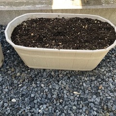 植木鉢、プランターまとめての画像