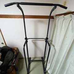 【お引き取り限定】WASAI(ワサイ) ぶら下がり健康器 懸垂マ...