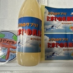 たまやの乳酸菌