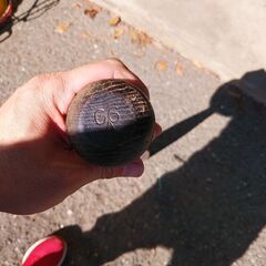 ミズノ　木製バットの画像