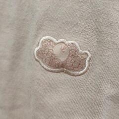 0226-076 フルーツオブザルーム　Tシャツ　Mサイズの画像