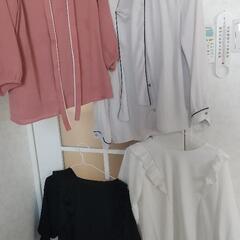 長袖、半袖ブラウスの画像