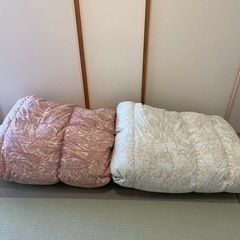 西川の羽毛布団二枚セットでどうぞ