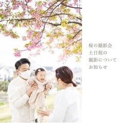 桜の撮影会ご予約承り中！