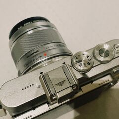 オリンパス｜OLYMPUS  PEN E-PL8　ミラーレス一眼カメラ　14-42mm EZレンズキットの画像